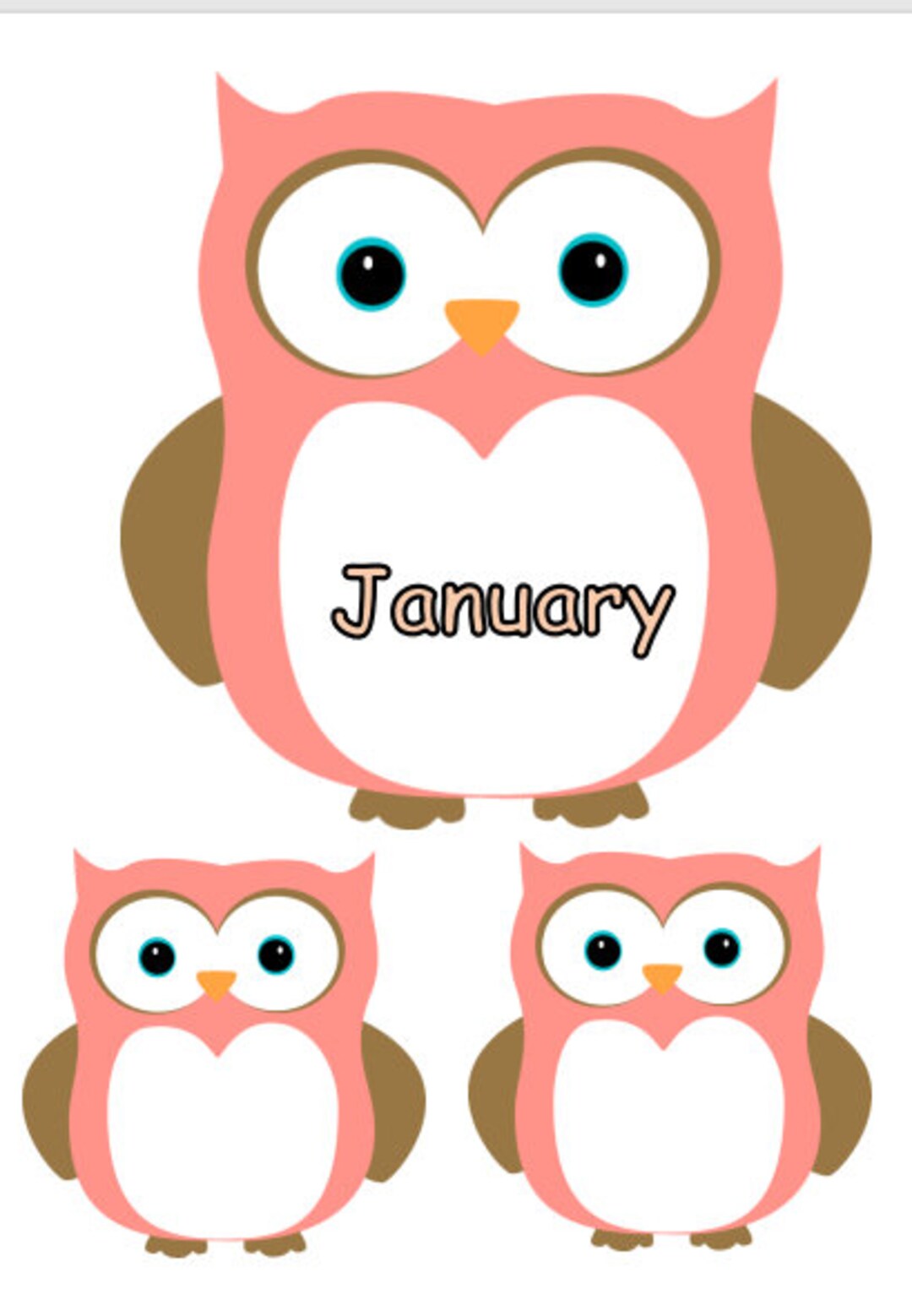 Owl Birthday Chart - Etsy