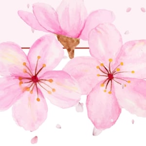 Bible Verse Phone Wallpaper Digital Download, John 8:31-32 The Truth Will Set You Free, Scripture Wallpaper for phone, Cherry Blossom art image 4
