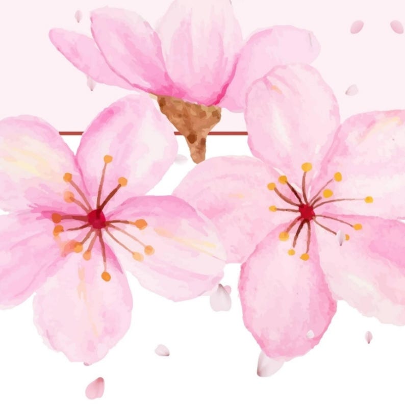 Bible Verse Phone Wallpaper Digital Download, John 8:31-32 The Truth Will Set You Free, Scripture Wallpaper for phone, Cherry Blossom art image 4