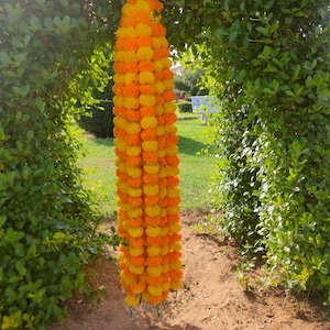Può includere: Una lunga ghirlanda di fiori di calendula, nei toni del giallo e dell'arancione, è appesa a un ramo d'albero. La ghirlanda è posta di fronte a uno sfondo di fogliame verde e un ambiente esterno soleggiato.