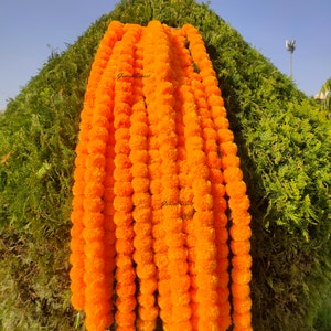 Indian Wedding decoration flower mehndi decor marigold flower garland wedding decoration