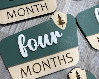 Park Baby Milestone Markers: Laser Engraved Wooden Photo Props