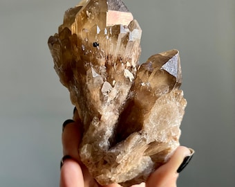 Isis Smoky Honey Citrine Kundalini Quartz | Large Phantom Cathedral Crystal Specimen | Lwena, Congo