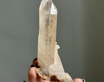 Rare Master Record Keeper | Untreated Citrine Trigonic Quartz | High Grade Phantom Citrine Master Crystal Point | Corinto, Brazil
