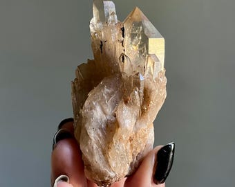 Twin Congo Citrine Kundalini Channeling Quartz Record Keeper | High Grade Natural Honey Citrine Cathedral Quartz Crystal Specimen