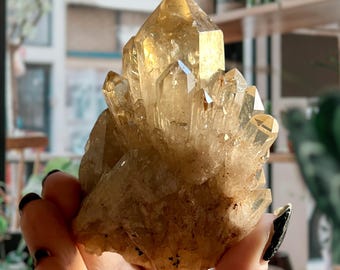 Congo Kundalini Citrine Cathedral Quartz | Large Golden Champagne Citrine | High Grade Natural Lwena Citrine Crystal Specimen