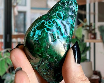 Wild Natural Malachite Palm Stone Freeform + Blue Chrysocolla | Congo Malachite | Semi Polished Artisan Malacholla Meditation Stone