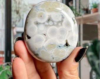8th Vein Snow Cap Blue Ocean Jasper Druzy | Old Stock Orbicular Jasper | High Grade Marovato OJ Crystal Palm Stone l Bullseye Orbs