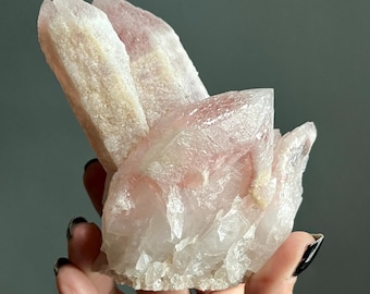 Elestial Pink Dreamsicle Lemurian Quartz Cluster | Rare Scarlet Temple Crystal | 499g | Self Standing, Record Keepers