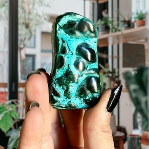 Botryoidal Malachite + Blue Chrysocolla | Natural Malachite Crystal Freeform | Intentional Congo Malachite | Heart Centered Stone