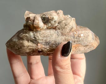 OOAK Wild Inclusion Quartz Crystal | Garden Lodolite Phantoms, Cathedrals | Very Rare Formations