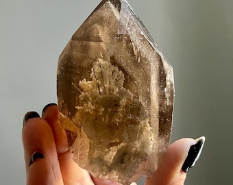 Shaman’s Dream Quartz in Natural Citrine | Lodolite, Black Rutile, Phantoms | 8-Sided Grounding Crystal