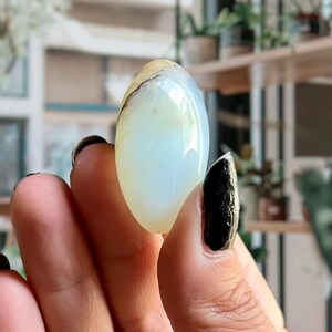 Op de afbeelding: Een gladde, ovale, witte opaal edelsteen met een lichtblauwe tint en een paar bruine aderen. De edelsteen wordt in een hand gehouden.