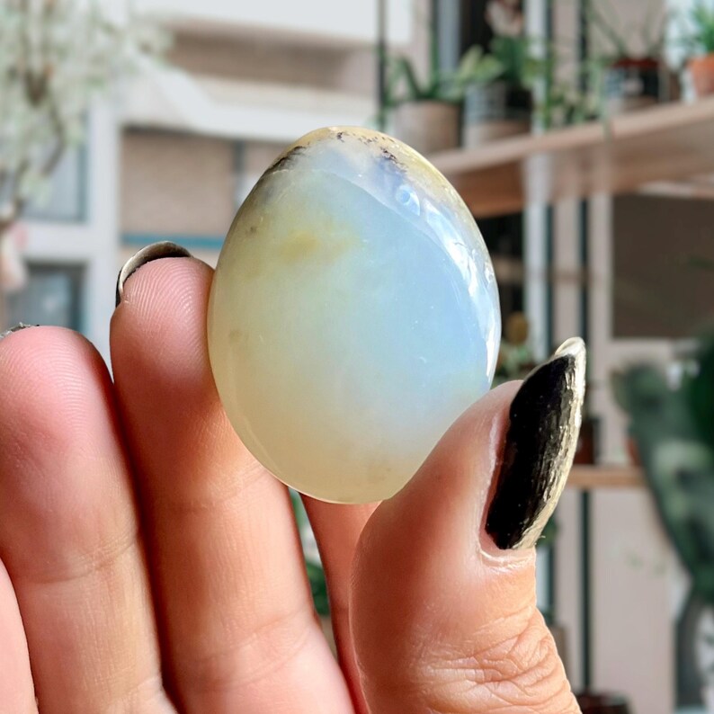 Op de afbeelding: Een gladde, witte opaal steen met een lichtblauwe en gele iriserende glans. De steen is eivormig en wordt in een hand gehouden.
