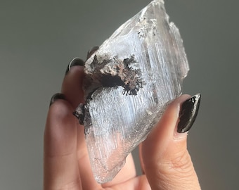 Rare Enhydro Record Keeper Naica Selenite | Dendritic Gypsum Selenite Crystal from Mexico w/ Manifestations + Moving Water Bubble