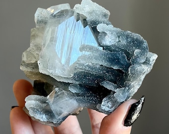 Blue Apophyllite Stalactite Chalcedony Cluster | AAA Water Clear Diamond Apophyllite Crystal | Black Blue Coral Chalcedony + Druzy