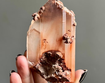 Naica Phantom Selenite Crystal Specimen | Enhydro’s, Inclusions, Manifestations, Record Keepers