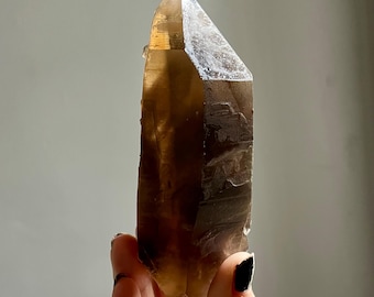 Rare Pele Dream Citrine Lemurian Quartz | 341g | Phantoms, Record Keepers, Large Statement Crystal