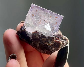 Elmwood Mine Purple Fluorite Cubic Crystal on Sphalerite