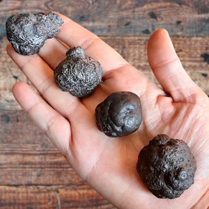 Raw Prophecy Stone: Ethically Sourced Goethite Pseudomorph from Egypt