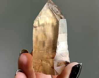 Dow Pele’s Dream Lemurian Quartz | Rare Natural Citrine Master Starbrary Quartz Record Keeper + Manifestations | Akashic Shadows