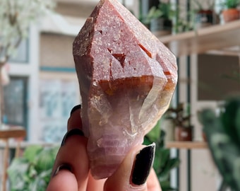 Elestial “Super 8” Super Seven Amethyst Root + Record Keepers | Melody Stone | Red Cap Amethyst Crystal Point + Purple Phantoms