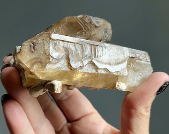 Rare Zambian Citrine Cluster | 242g | Twin Channeling Crystals + Record Keepers