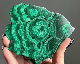 311g Natural Congo Malachite Freeform | Semi Polished Large Crystal Slab | Intentionally Sourced