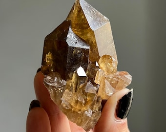 Twin Congo Kundalini Citrine Cathedral Quartz Record Keeper | Smoky + Honey Citrine Crystal Specimen | Dual Toned | Shadow + Light
