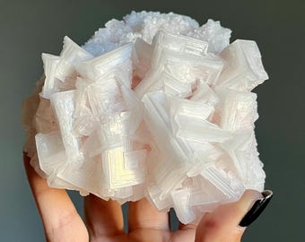 Large Raw Pink Halite Cluster | Searles Lake Mineral Salt Crystal | The Golden Ratio