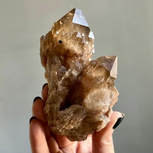 May include: A cluster of translucent smoky quartz crystals featuring multiple pointed terminations. The mineral specimen displays varying shades of brown and tan, with internal inclusions and a jagged, crystalline texture throughout the formation.