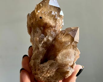 Large Phantom Kundalini Citrine | Smoky Honey Cathedral Quartz Crystal Specimen from the Congo