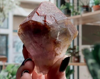 Trigonic “Super 8” Super Seven Amethyst Root | Melody Stone Crystal Record Keeper | Red Cap + Purple Phantoms