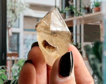 Wild Phantom Natural Citrine Skeletal Quartz Scepter | Smoky Citrine Phantom Quartz Crystal Point | High Grade Brazilian Citrine