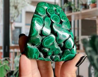 Natural Malachite Crystal Freeform | Semi Polished Botryoidal Malachite | Ethically Sourced Congo Malachite | Artisan Palm Stone