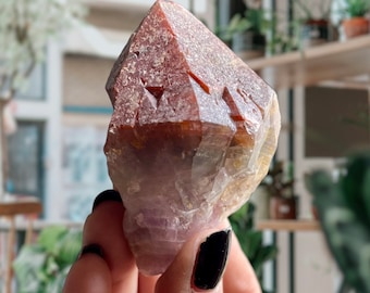 Trigonic Super Seven Crystal | Melody Stone | Red Cap Amethyst Root Record Keeper