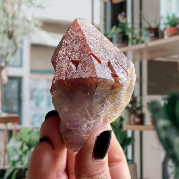 Elestial Super Seven Cacoxenite Amethyst Root Record Keeper | Red Cap Amethyst | Rare Find | Phantom Melody Stone Crystal Point