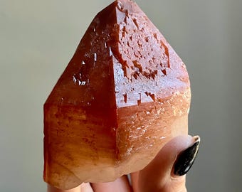 Elestial Red Dreamcoat Lemurian Quartz Record Keeper | Super 7 Golden Lemurian Phantom Quartz | Master Crystal Point from Brazil