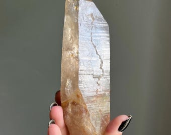 Lightning Strike Citrine Lemurian Quartz Crystal Point | Record Keepers + Star Marks | Rare Find | Untreated Citrine from Brazil