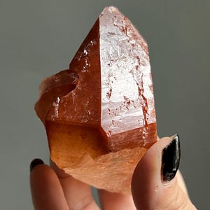 Trigonic Dreamcoat Lemurian Quartz from Brazil | Elestial Crystal, Druzy