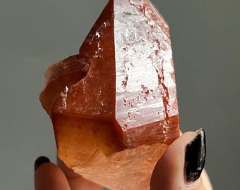 Elestial Lemurian Dreamcoat Quartz | Master Record Keeper | Red Amethyst Phantoms, Druzy | Cristalina, Brazil