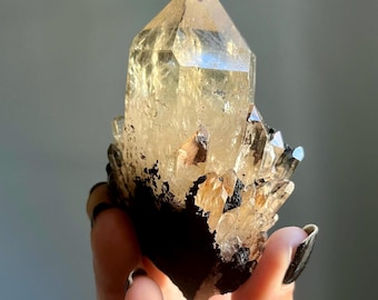 Rare Congo Kundalini Citrine Quartz | Red Phantom Cathedral Quartz | Large Dendritic Crystal Specimen