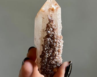 Snow Rose Dreamcoat Lemurian Root Channeling Quartz + Phantoms | Pink Lithium + Red Amphibole | Rutile + Druzy | Cristalina, Brazil