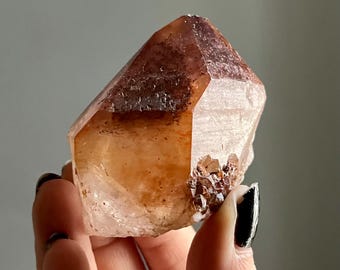 Super 7 Dreamcoat Lemurian Quartz Crystal | Red Amethyst + Purple Phantoms | Druzy + Rutile + Record Keepers