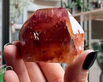Trigonic Red Dreamcoat Lemurian Quartz | Super 7 Golden Lemurian Crystal Point | Record Keepers + Purple Phantoms + Red Rutile