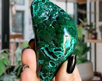 Natural Malachite Crystal Freeform + Blue Chrysocolla | Congo Malacholla | Hand Polished Meditation Palm Stone | Song of the Heart