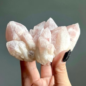 Rare Pink Dreamsicle Quartz Lemurian Root Crystal Cluster | Pink Phantom Scarlet Temple Lemurian Dreamcoat Quartz Record Keeper