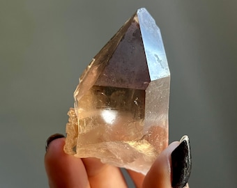 The Spirit of Specimens