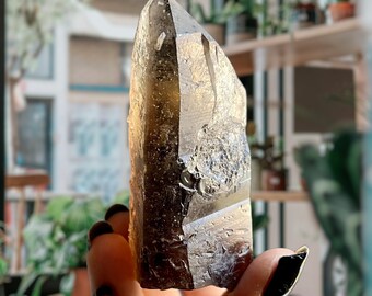 Pele’s Dream Smoky Citrine Lemurian Quartz | Master Starbrary Black Lemurian Phantom Quartz Crystal | The Akashic Shadows