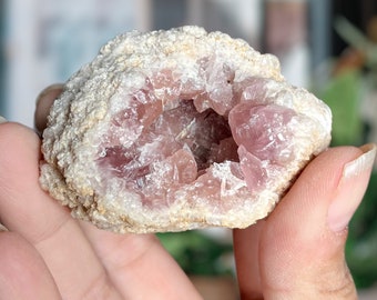 Large Pink Amethyst Geode | Patagonian Pink Amethyst Cluster | Natural Pink Amethyst Druzy Specimen